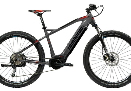 Lombardo E - Tonale  MTB gents 43 cm antra mat