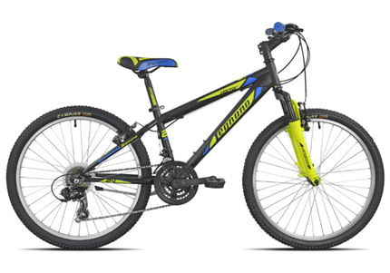 MTB Hector 34 cm zwart 21 speed VV