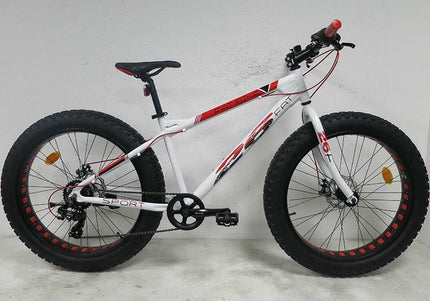 FatBike 26