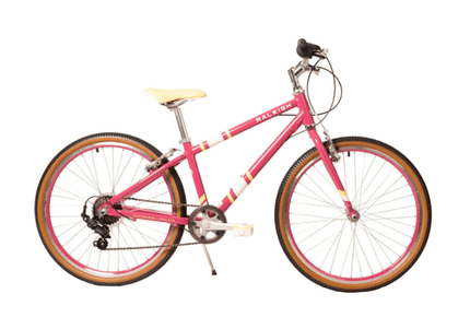 Raleigh POP H 33 cm Roze