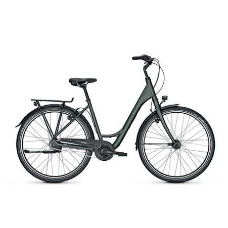 Raleigh Devon D 55 cm Nexus 8 Hydro